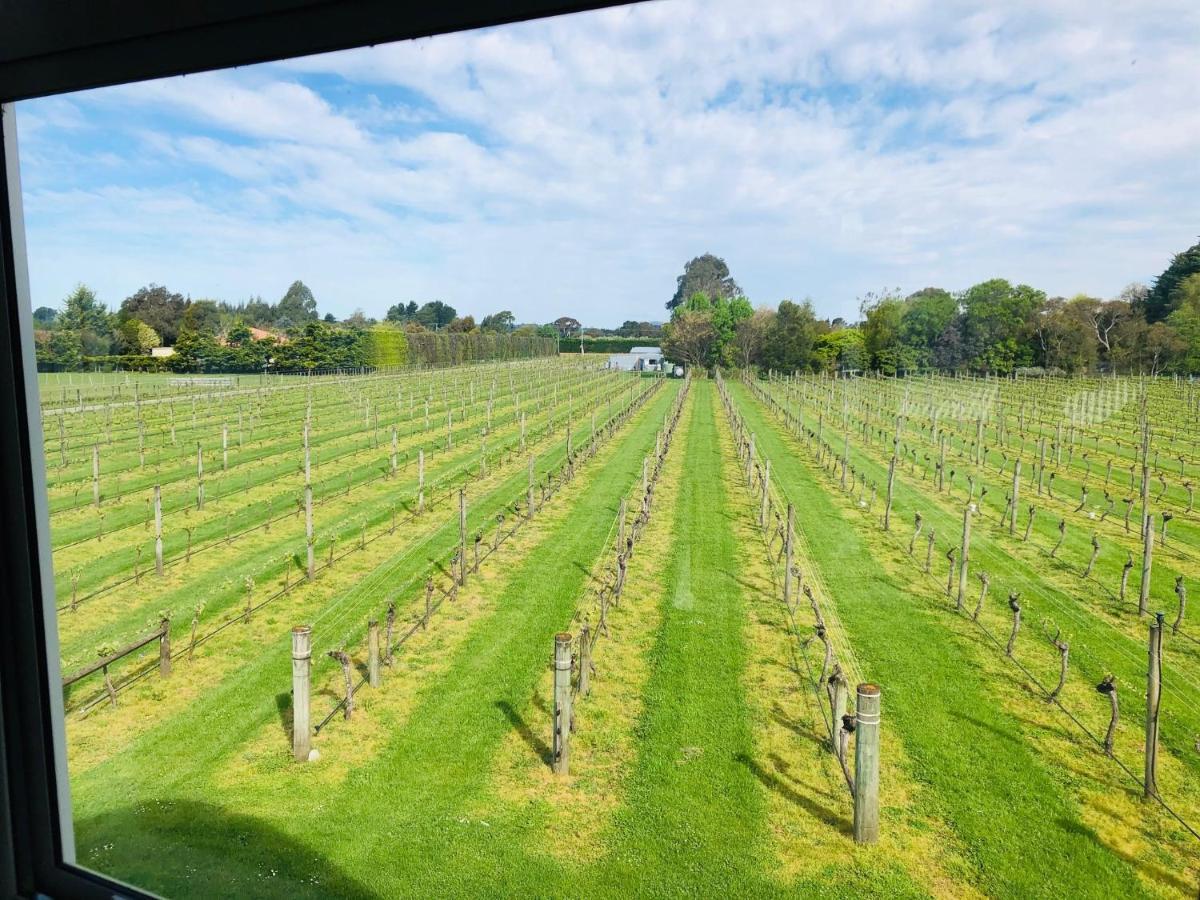Bed and Breakfast Le Grá Vineyard&Winery Masterton Esterno foto